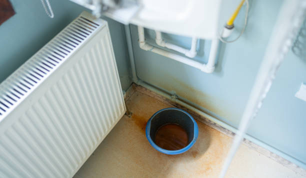 Best Water damage cleanup near me  in Eureka Mill, SC